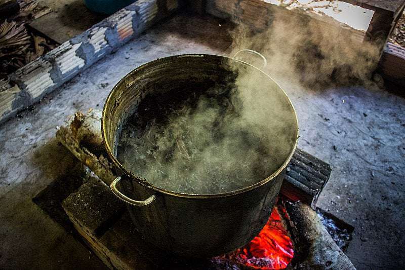 image for Ayahuasca relieves depression and anxiety, finds study on nearly 12,000 users