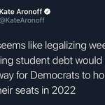 image for If Democrats want to win in 2022, they must embrace policies that are popular.