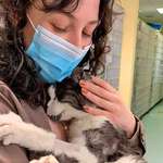 image for This woman adopted this 20-year-old cat from a shelter because she didn't want him to spend the end of his life alone in a cage.