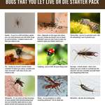 image for Bugs That You Let Live Or Die Starter Pack