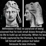 image for Mithridates VI built up too much of a tolerance to poison for his own good (or should that be for his own bad)