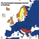 image for The most popular languages learnen on Duolingo per country.