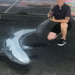 image for I just won “Best 3D Piece” at a chalk festival