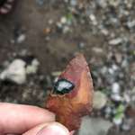 image for Found an arrowhead in a dried up stream!