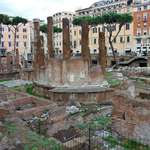 image for The place where Julius Caesar was murdered is now a sanctuary for cats.