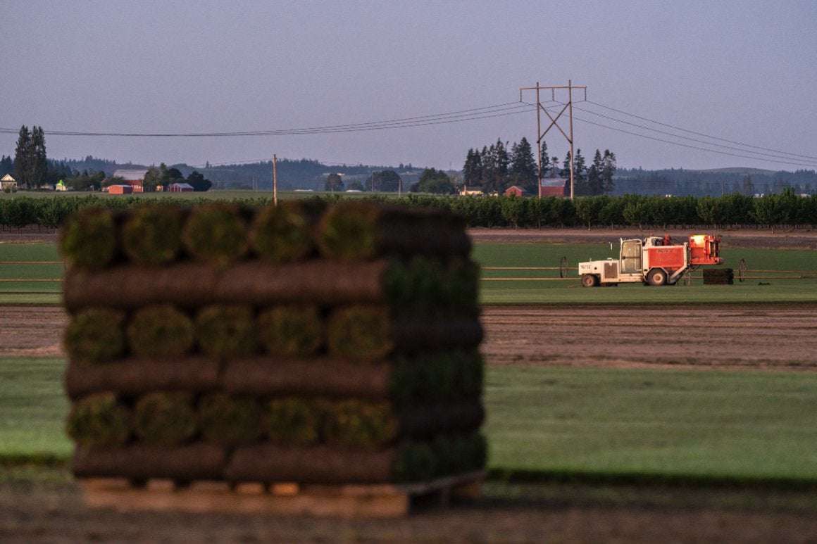 image for China is buying up American farms. Washington wants to crack down.