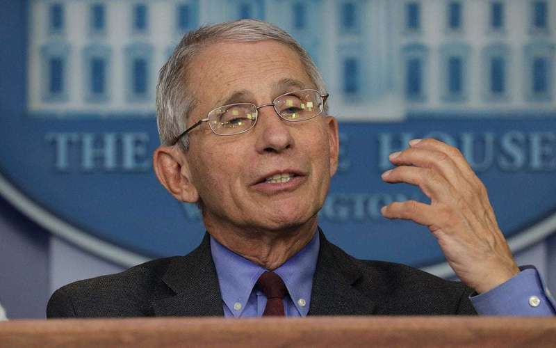 image for Anthony Fauci Once Again Forced to Basically Call Rand Paul a Sniveling Moron