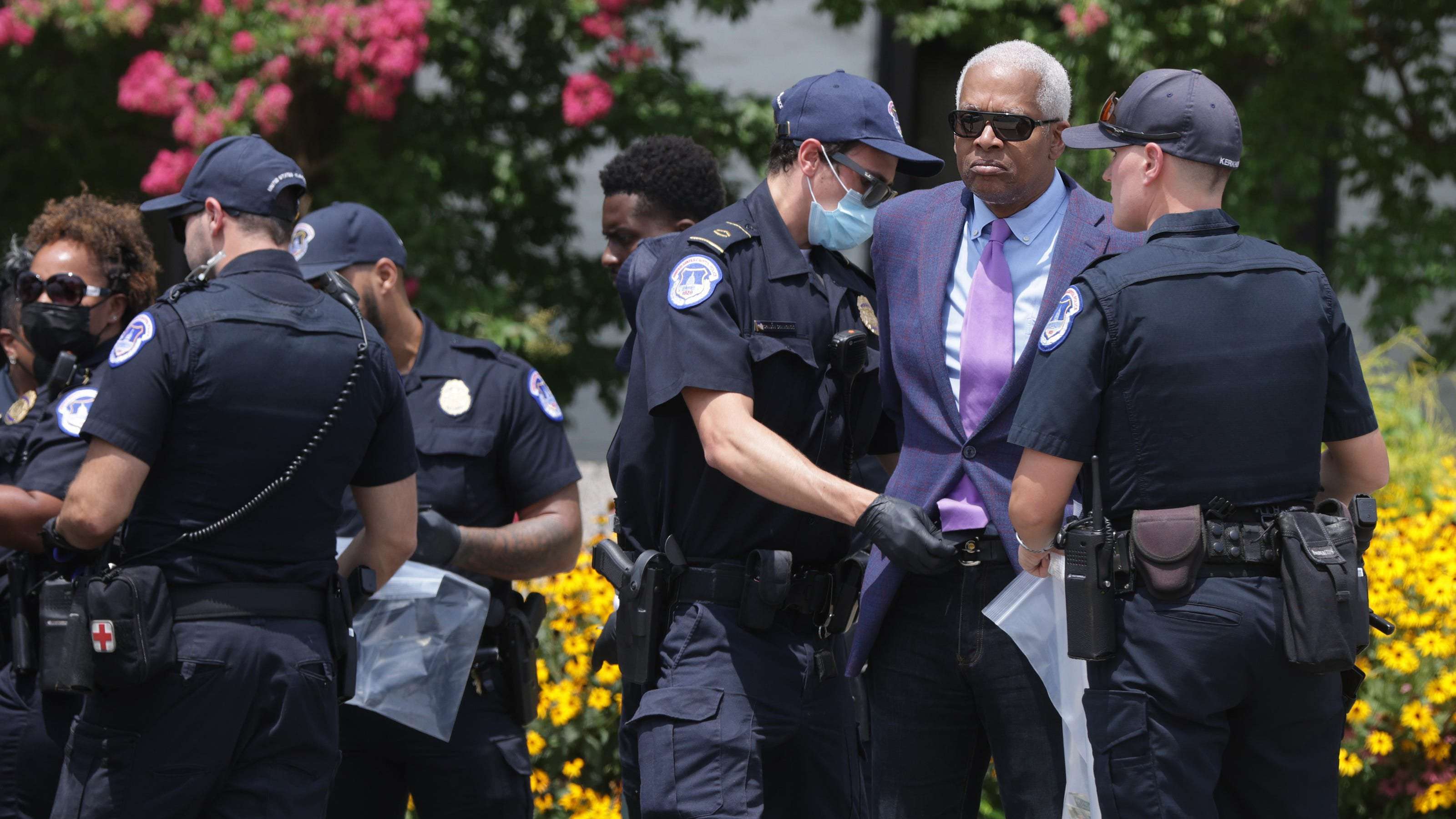 image for Georgia Rep. Hank Johnson arrested at voting rights demonstration, second House Democrat detained in a week
