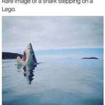 image for FUCKING LEGO