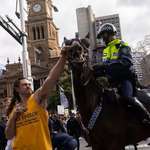 image for Idiot punching a horse at an anti-lockdown rally in Sydney.