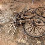 image for This 2000-Year-Old Thracian Chariot with Horses Still Attached