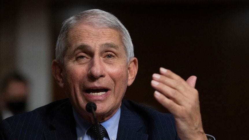 image for Unites States will not lock down despite Delta variant surge, Dr Anthony Fauci says as cases in Florida spike
