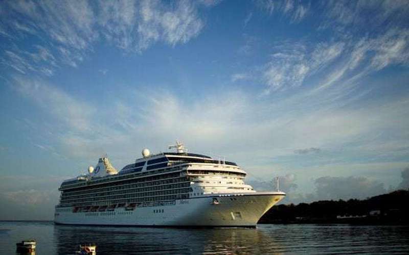 image for U.S. judge says Florida can't ban cruise ship's 'vaccine passport' program