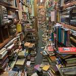 image for Used Bookstores can feel like heaven