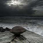 image for The clam before the storm