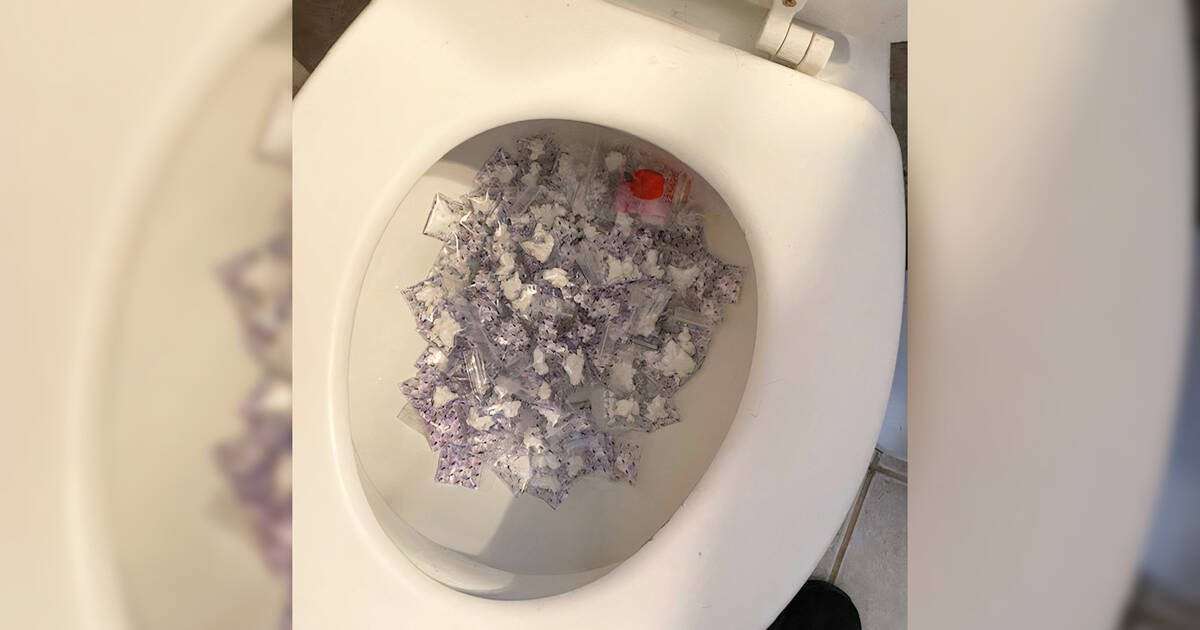 image for Ontario police ask criminals not to flush drugs down toilet after coke stash clogs pipe