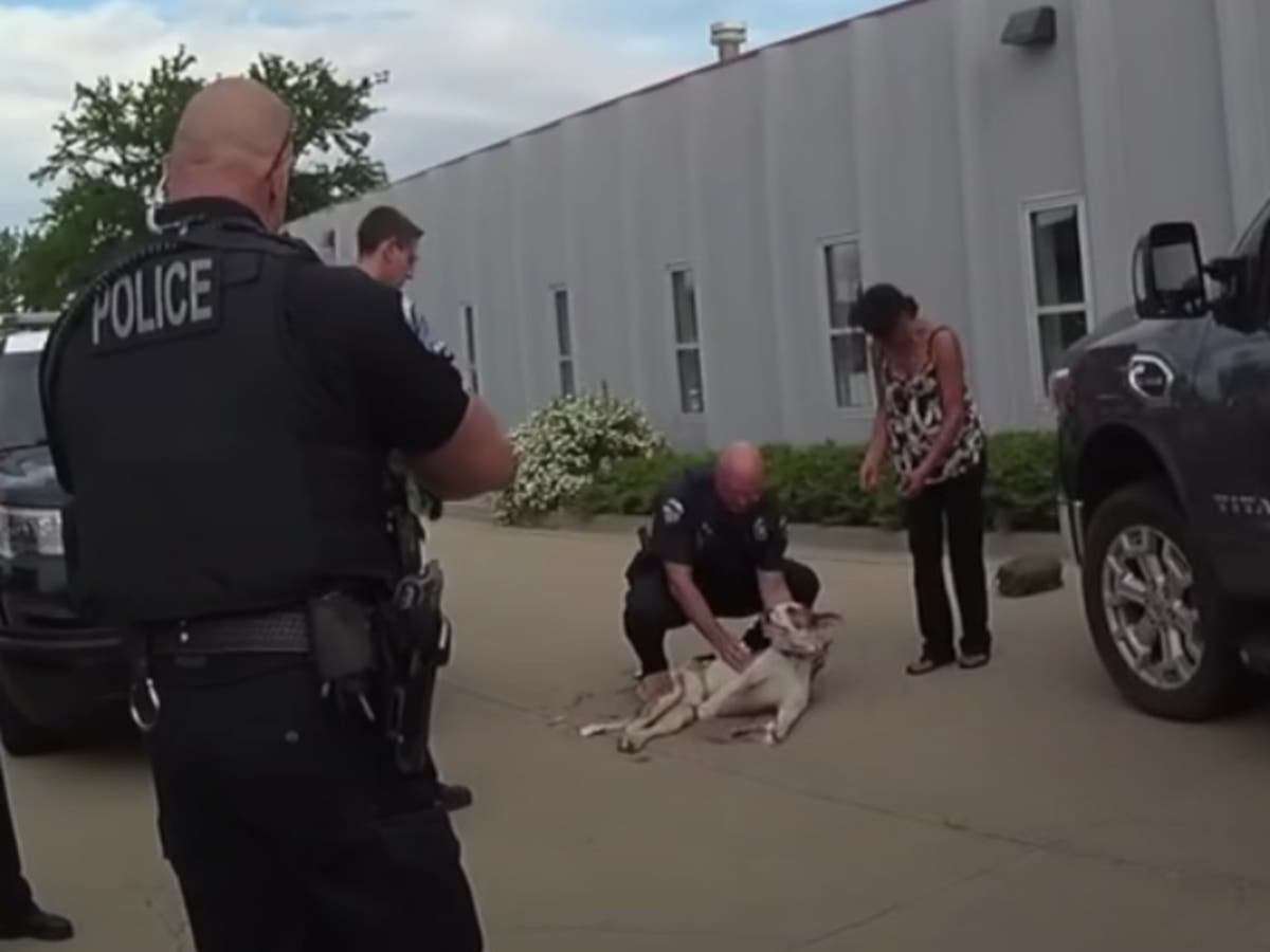image for Police officer sued after shooting puppy dead in front of its owners