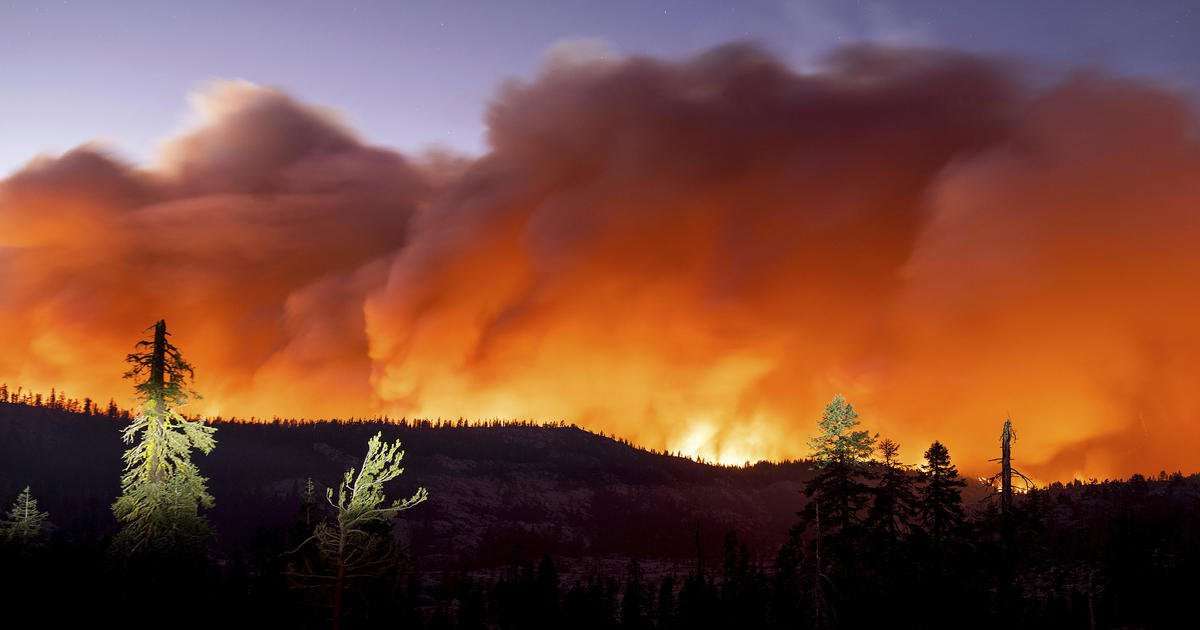 image for All California national forests to temporarily close due to "wildfire crisis"