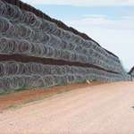 image for Roadrunner in front of the border wall, award for the best bird photography of of the year. 🐦