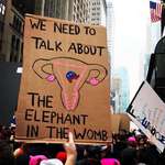 image for Sign held during Women’s March protest, NYC, 2017