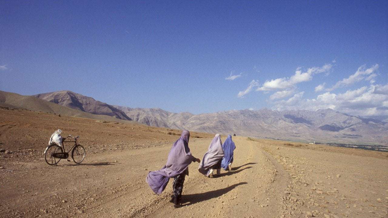 image for The Other Afghan Women