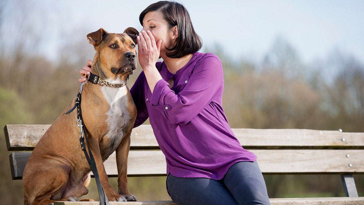 image for Court Ruling Gives Dog Owners Less Privacy Than Their Dogs