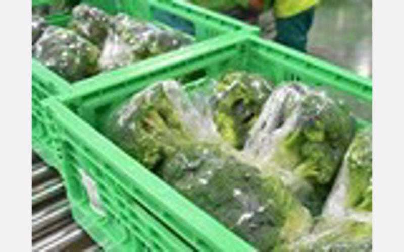 image for Spain will ban selling fruit and vegetables in plastic containers starting 2023
