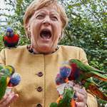 image for Angela Merkel at the zoo