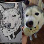 image for BarkBox gifted me a drawn portrait of lily holding her favorite toy after I told them of her passing