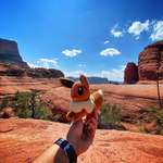 image for Our baby Eva passed @ age 11 on Jan 1st. We always take her Eevee w us. [@ Chicken Point, Sedona AZ]