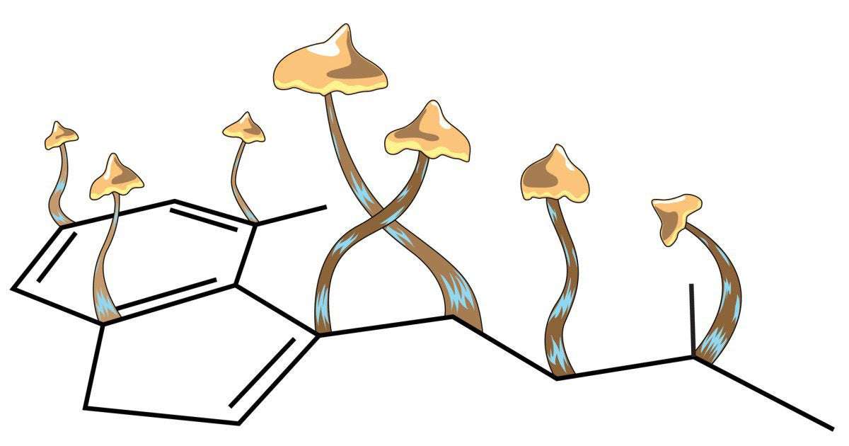 image for Landmark study shows one dose of psilocybin induces new neural connections