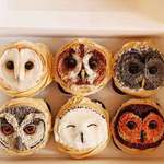 image for Owl cupcakes by Kitty girl bakes.