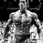 image for Arnold Schwarzenegger at his prime. Mr. Olympia 1969