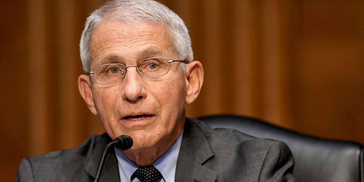 image for Fauci rails against 'dark web people' harassing his wife and daughters with violent threats