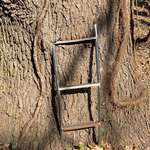 image for This ladder led to my tree house when I was a little boy. I’m 44 now.