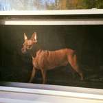 image for I snapped a photo of my dog through a window screen that looks like an old painting.