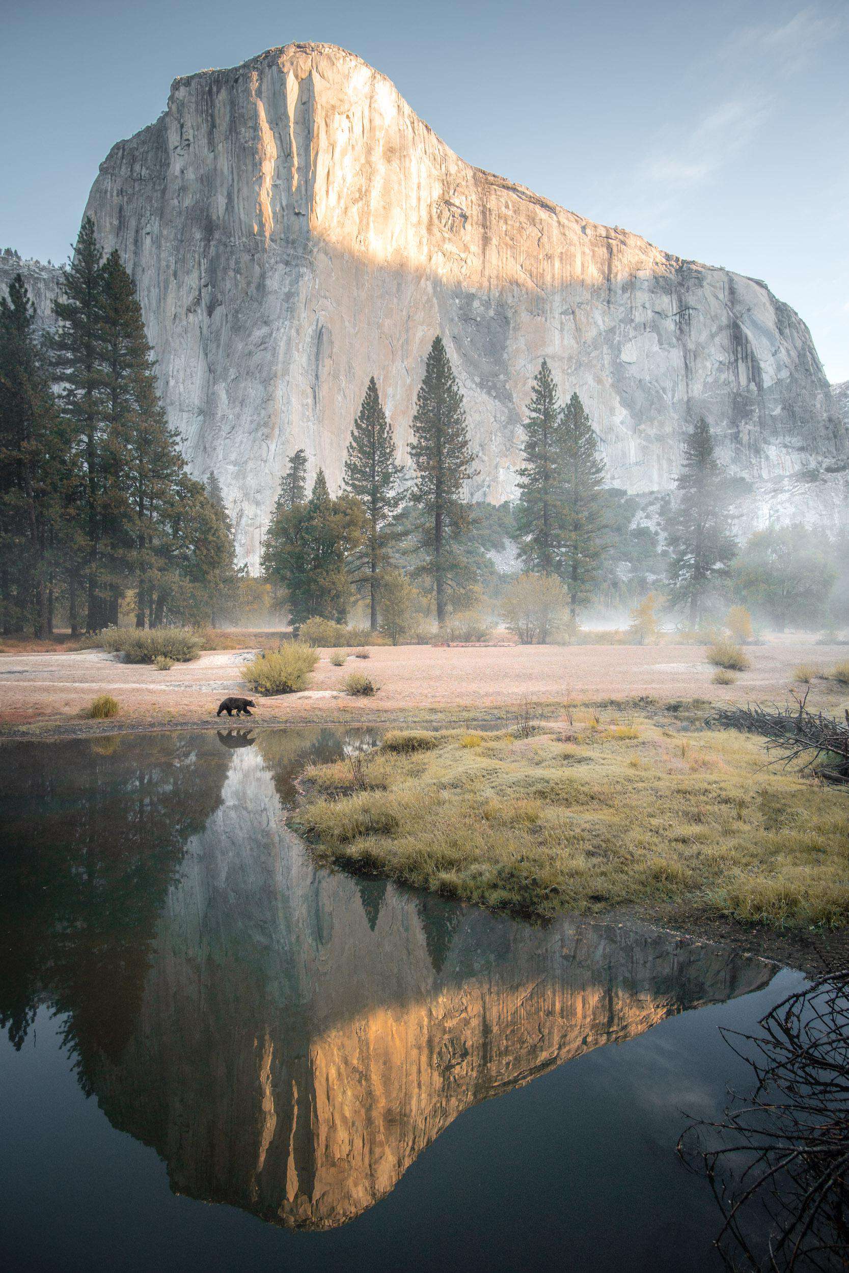 image showing Coincidental encounters in Yosemite