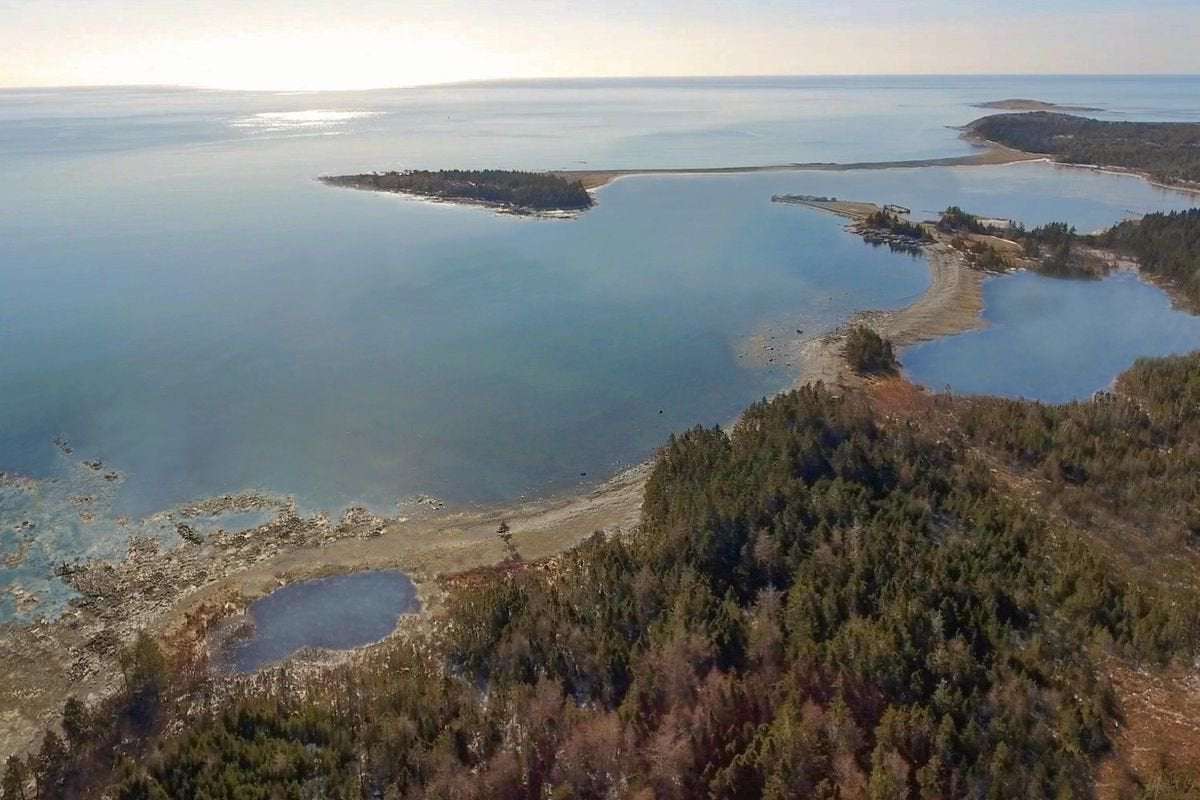 image for North America’s first whale sanctuary is taking shape in rural Nova Scotia