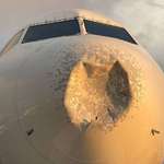 image for Crimpled nose of a Delta flight from Florida which was flattened following a bird strike
