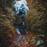 image for Train passing through Harz National Park, Germany