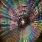 image for Camera flash on a humid spider web and rainbow effects (Stephen Dunn)