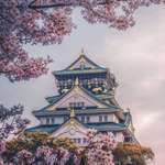 image for Osaka Castle, Osaka, Japan