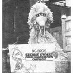 image for Big Bird promoting vaccines in 1976