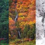 image for Just completed this 3 season photo project in Yamagata, Japan