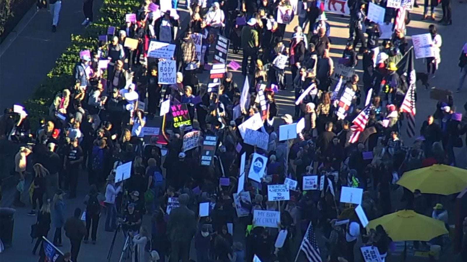 image for Hundreds gather near Golden Gate Bridge to protest vaccine mandates, evening commute grinds to halt