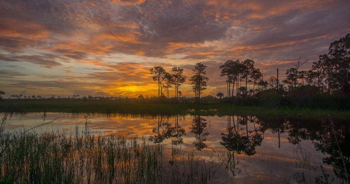 image for Florida has rejected a plan to drill for oil in the Everglades