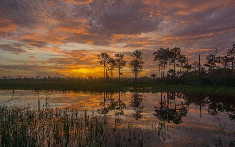 image for Florida has rejected a plan to drill for oil in the Everglades