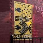 image for Don't Panic Organize