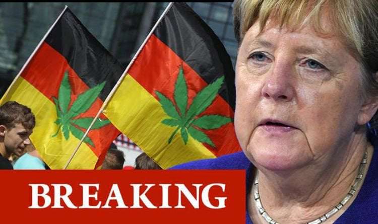 image for Germany moves to legalise cannabis in economy-boosting bid after Merkel departure