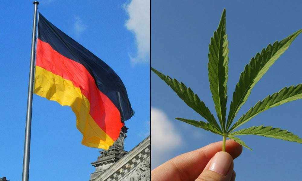 image for Germany Will Legalize Marijuana And Promote Drug Harm Reduction, Governing Party Coalition Officially Announces